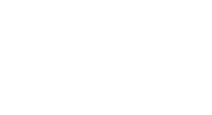 brLogo2